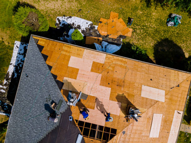 Best Roof Gutter Cleaning  in Liberty, SC